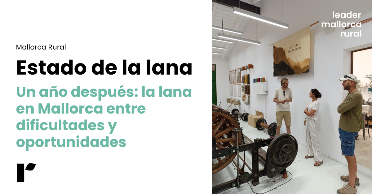 estado-de-la-lana-en-mallorca-oportunidades-dificultades-mallorca-rural